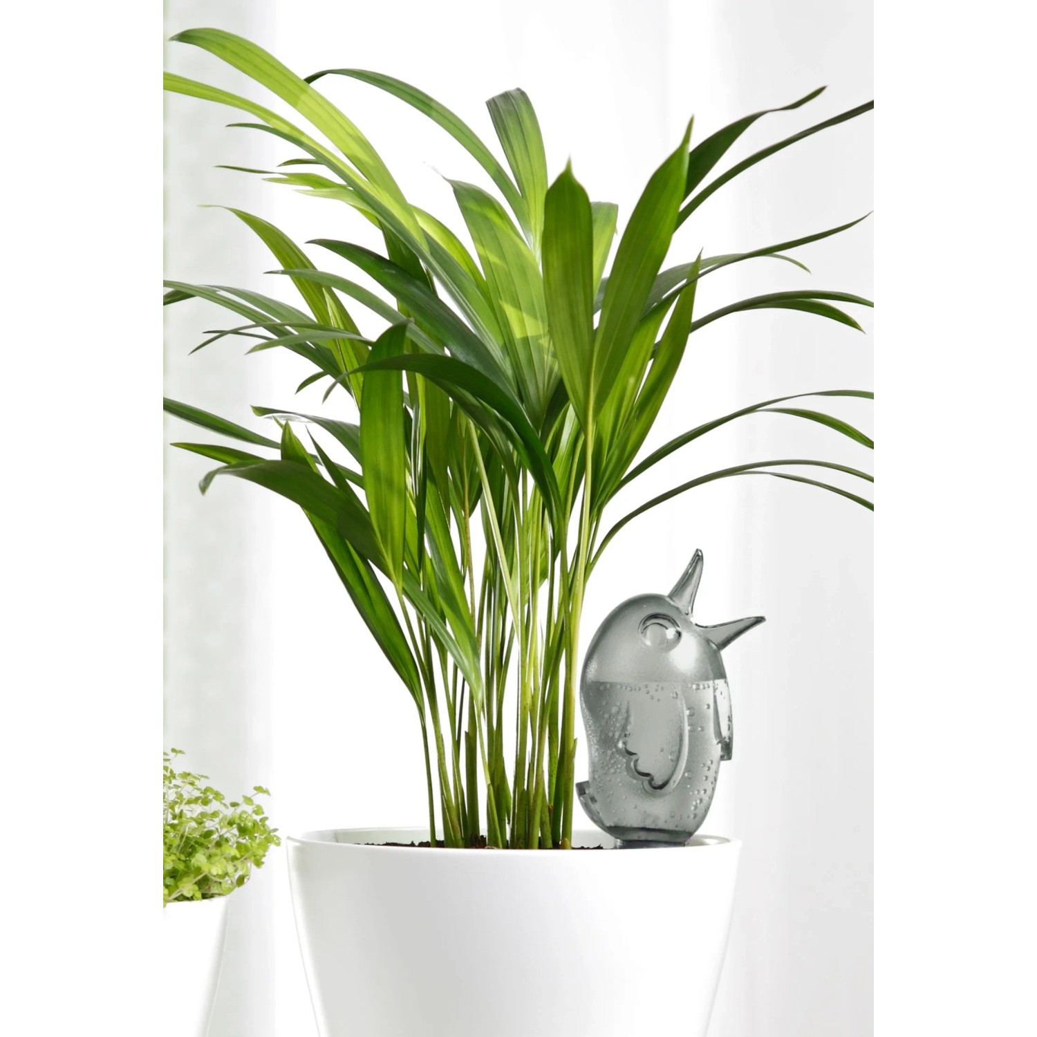 Scheurich Wasserspender Brdy S 90 ml Grau kaufen bei OBI