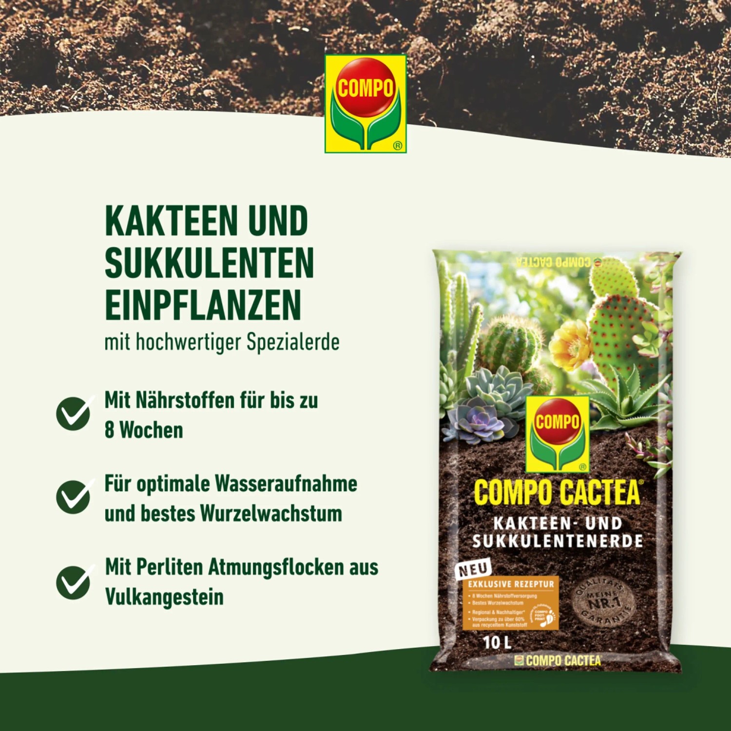 Compo Cactea Kakteen- und Sukkulentenerde 5 l_3