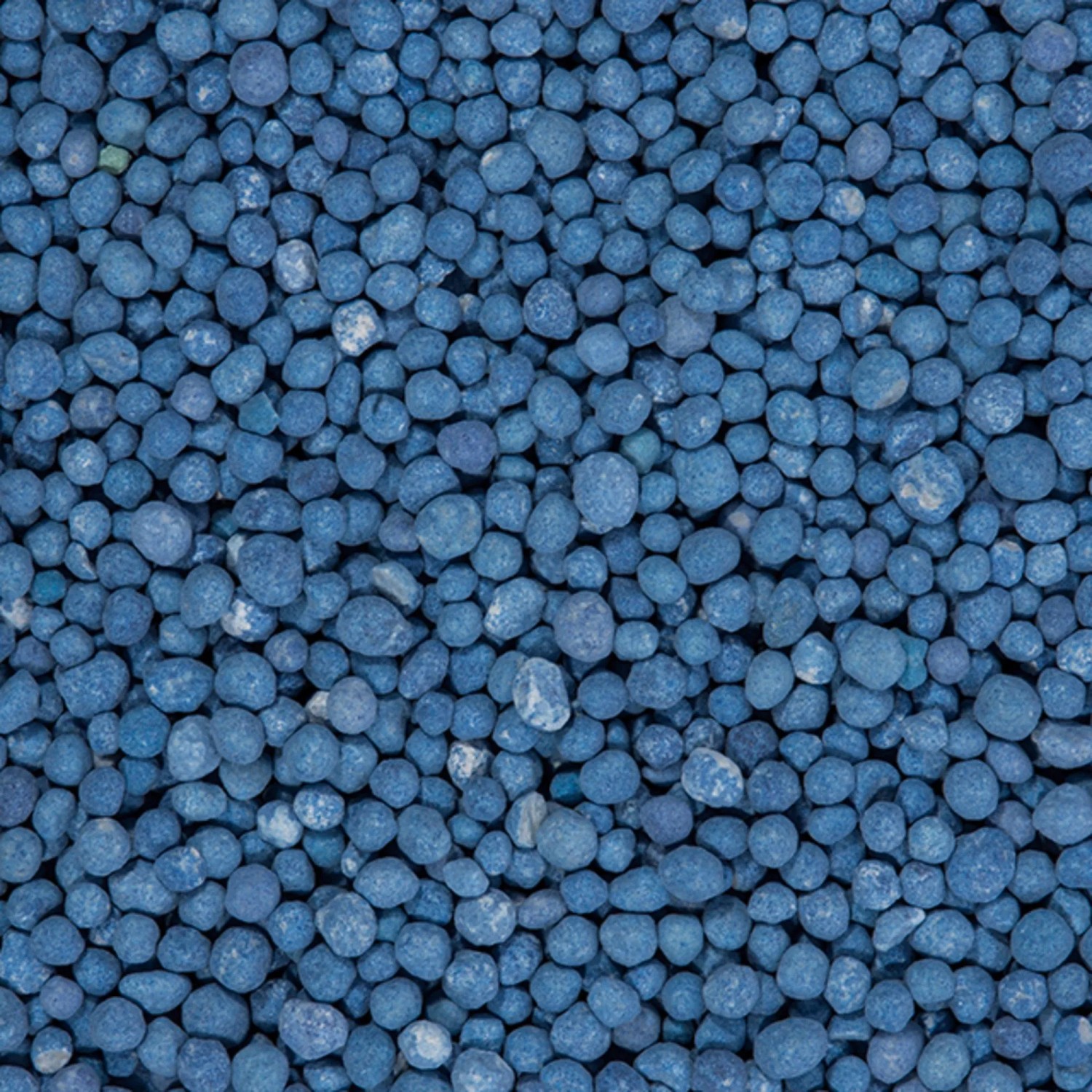 buchsbaum dünger kaufen Purgrün Buchsbaumdünger 1 kg main image 0