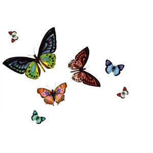 d-c-fix Tischset Papilio mit bunten Schmetterlingen, 29x44 cm.