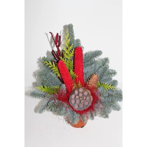 Rotes Waldtopf Nobilis Grabgesteck (ca. 12 cm) mit Tanne, Zapfen und roter Deko.