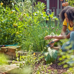Frau schneidet Schnittlauch mit Gardena ExpertCut Gartenschere im Garten.