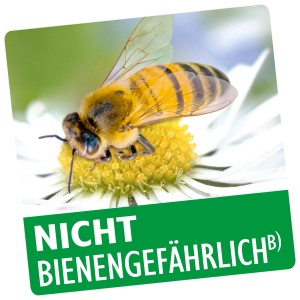Biene auf Blüte, Symbolbild für "Nicht bienengefährlich" bei Neudorff Armisan Pilz-Frei.
