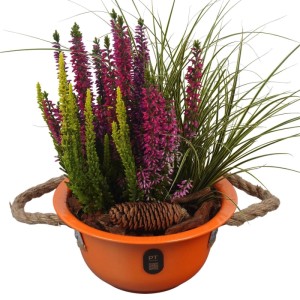 Herbstliches Arrangement in orangefarbener Metallschale (Ø 18 cm) mit Heide, Segge und Zapfen.