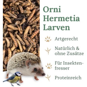 Orni Soldatenfliegenlarven, getrocknet, mit Igel und Meise. Proteinreiches Insektenfutter für Wildvögel.
