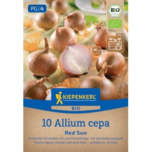 Kiepenkerl BIO Schalotte Red Sun, Gr. 7/15