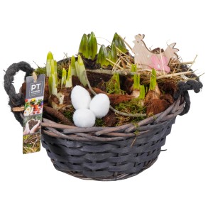 Frühlingsarrangement im grauen Korb mit Frühblühern, Deko-Eiern und Holz-Huhn. Ø 24 cm.