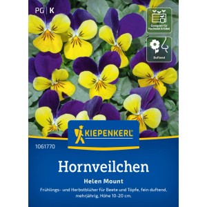 Kiepenkerl Saatgut Hornveilchen Helen Mount mit gelb-violetten Blüten.