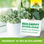 Neudorff Neudosan AF Neu Blattlausfrei 500ml mit Pflanze im Topf.