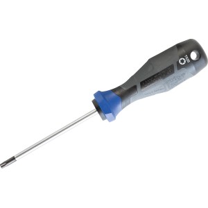 LUX Schraubendreher Professional TX25, 100 mm, mit ergonomischem Griff und Aufhängeloch.