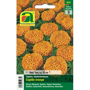 Austrosaat Studentenblume Cupido Orange, Blumensamen für sonnige Standorte.