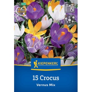 Kiepenkerl Krokus-Mischung mit lila, gelben und weißen Blüten, 15 Stück.