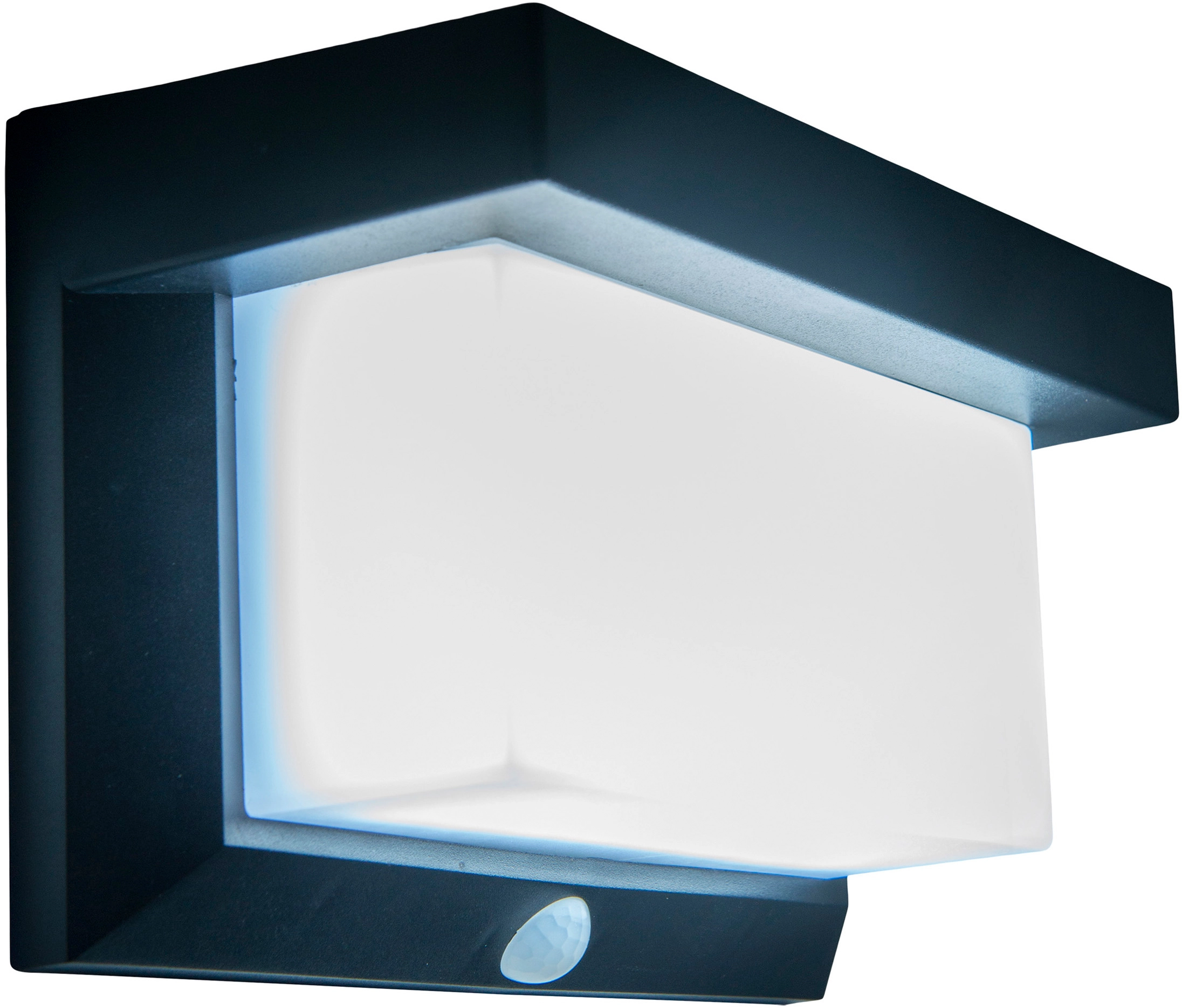 Näve LED-Solar-Außenwandleuchte 12 kaufen OBI Schwarz bei Bewegungsmelder cm mit