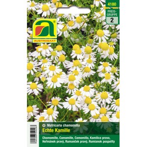 Austrosaat Echte Kamille Saatgut, Matricaria chamomilla Comp. mit weißen Blüten und gelber Mitte.