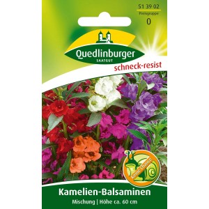 Quedlinburger Kamelien-Balsamine Mischung, Blumensamen für farbenfrohe Sommerblumen.