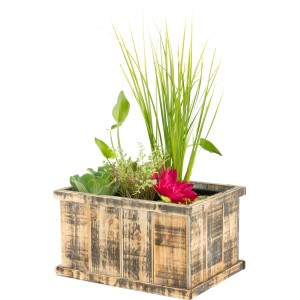 OBI Terrassenteich in Holzkiste Brussels Braun Topf-Ø ca. 40 cm