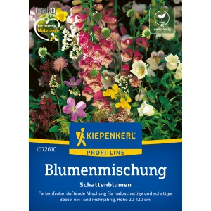 Kiepenkerl Schattenblumen Mischung