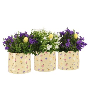 Glockenblume Farbmix in Keramik Topf-Ø ca. 10,5 cm Campanula