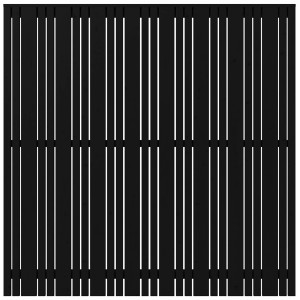 Plus Holz  Sichtschutzzaun Tangent Nadelholz Schwarz 180 cm x 180 cm