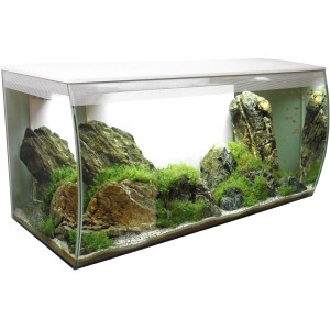 Weißes Fluval Flex 123 l Aquarium-Komplettset mit Steinen und Pflanzen.