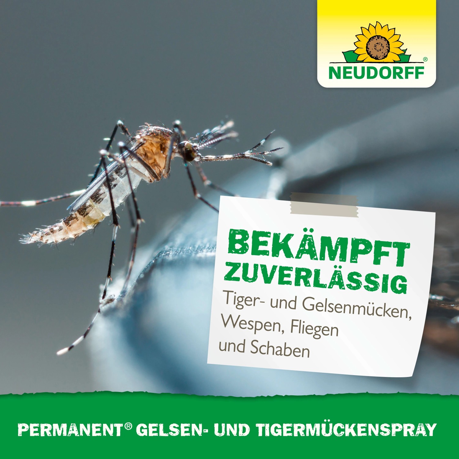 Nahaufnahme einer Tigermücke. Notiz: "Bekämpft zuverlässig Tiger- & Gelsenmücken, Wespen, Fliegen, Schaben". Neudorff Spray.