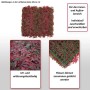 MCW Wandfliese L78, Ahorn rot: Dekorative, rote Sichtschutzfliese für Wand oder Balkon.