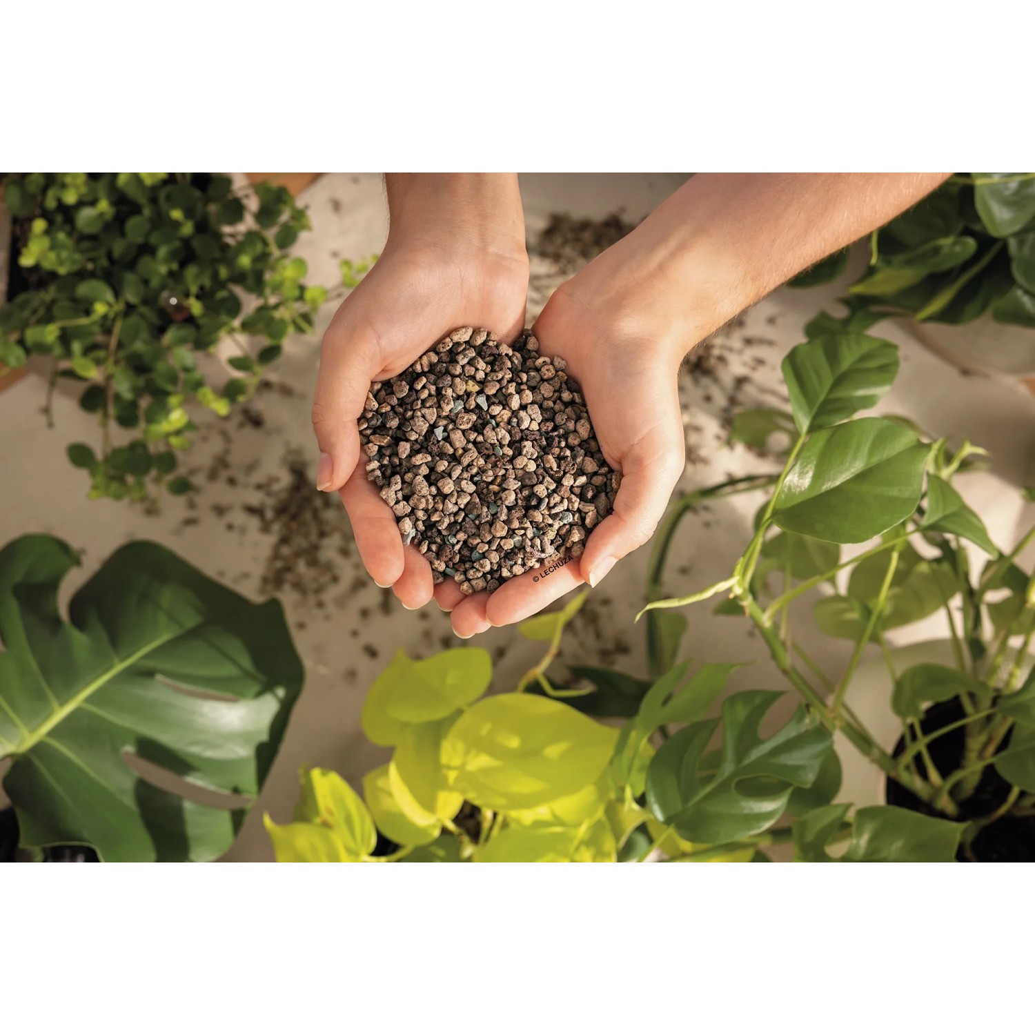 Hände halten Lechuza-Pon Pflanzsubstrat (3L) für Zimmerpflanzen, mineralisch, torffrei.
