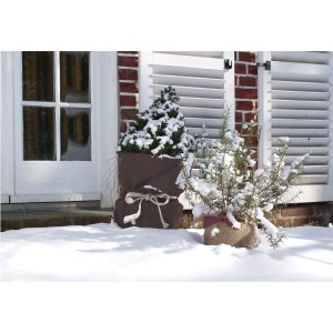 Winterschutz Jutefilz dunkelbraun für Pflanzen im Schnee vor Hauswand mit Fenster und Fensterladen.