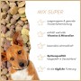 Brauner Hund mit schwarzem Halsband blickt aus bunter Supravit Mix Super Trockenfutter-Mischung. Ausgewogenes Hundefutter für tägliche Fütterung.