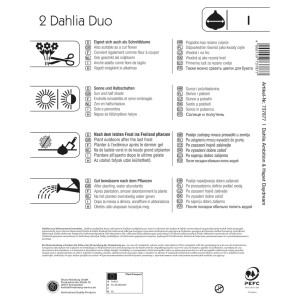 Verpackung Kiepenkerl Dahlien-Duo Ambition & Hapet Daydream, Infos zu Schnittblume, Standort, Pflanzzeit, Bewässerung.