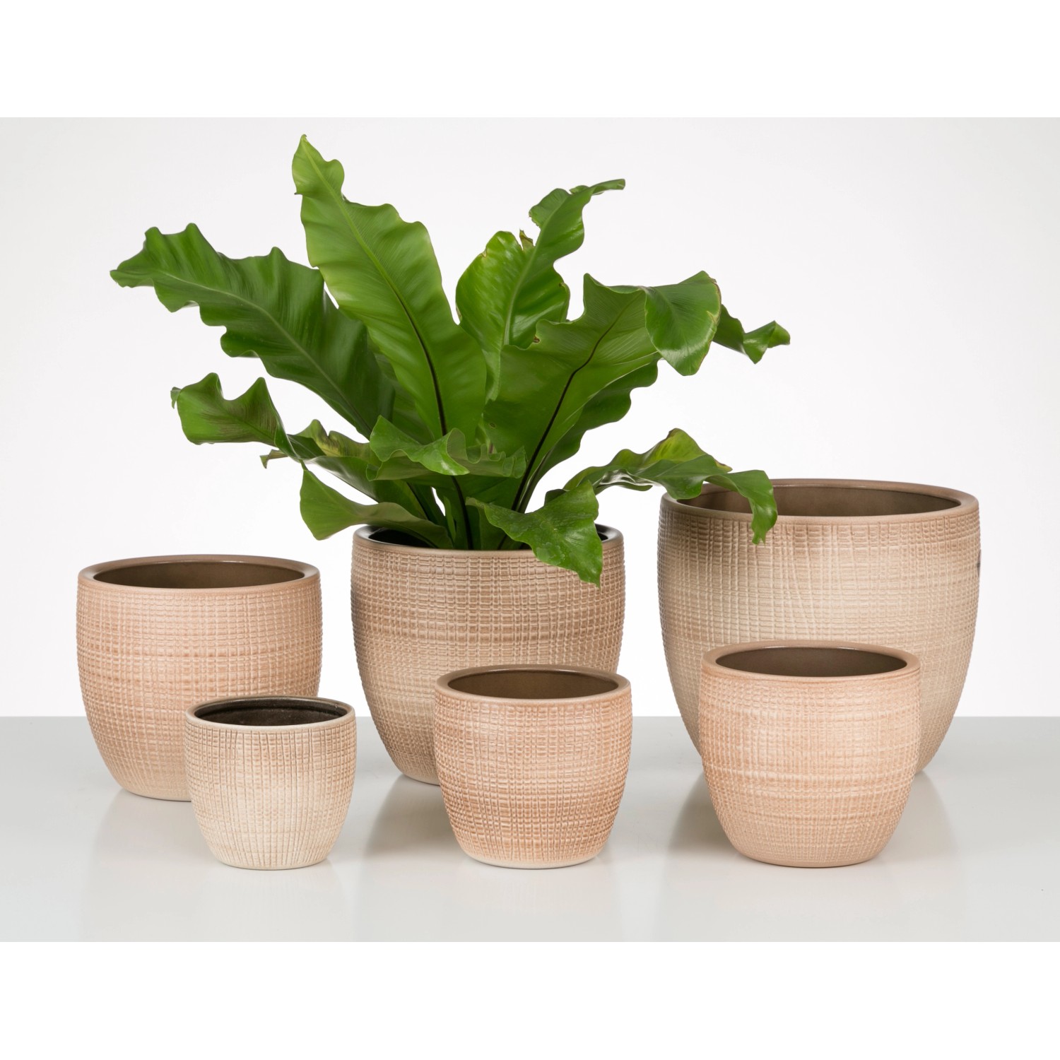 Scheurich Übertopf 866 Canela, verschiedene Größen des Keramiktopfs mit Textur.