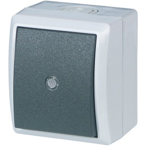 REV Kontroll-Wechselschalter AP AquaForm Grau, Feuchtraum-Schalter mit Glimmlampe.