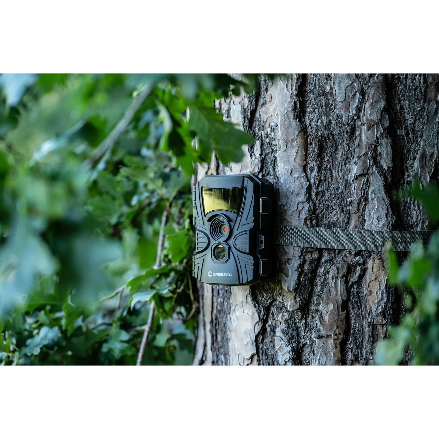 Bresser Wildkamera, 5-20 MP, am Baum befestigt. Ideal zur Tierbeobachtung und Überwachung.