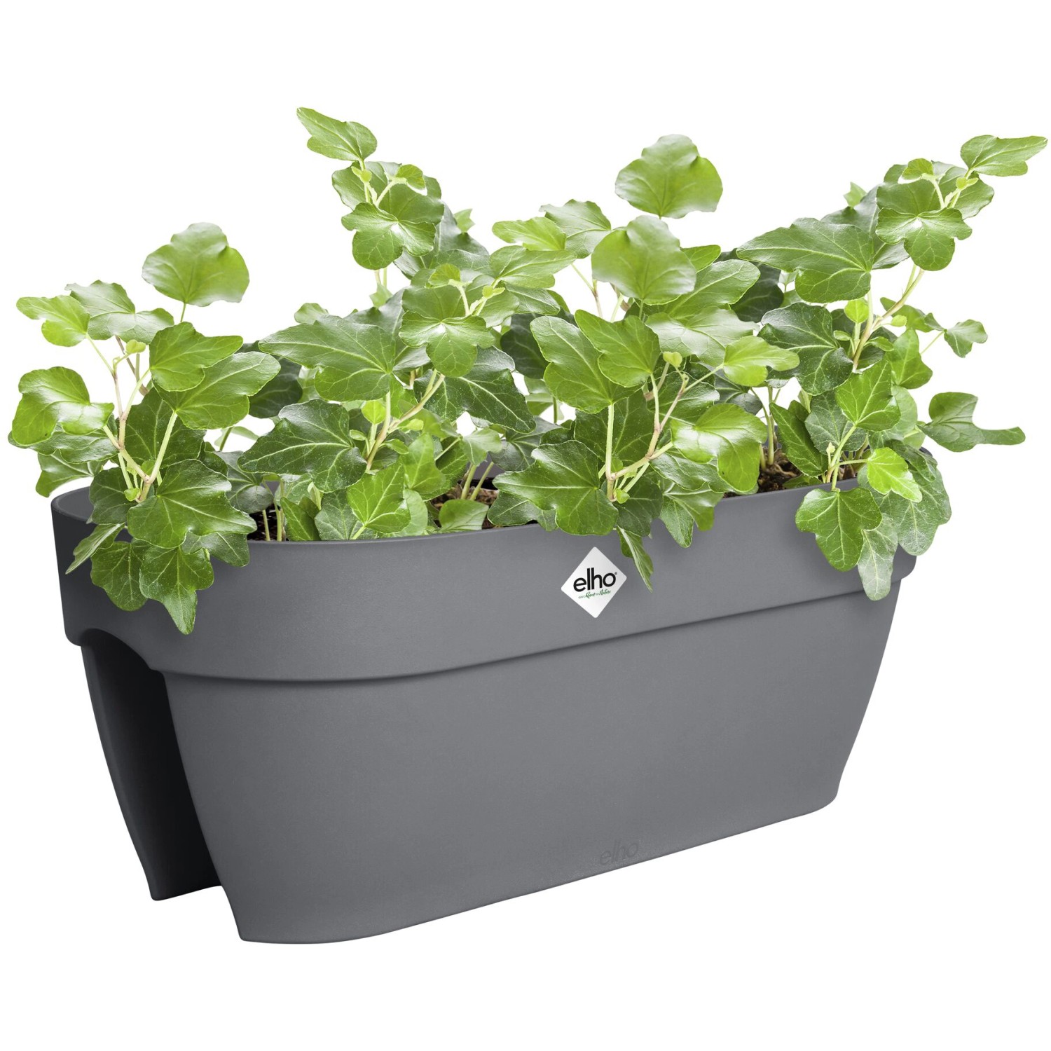 Elho Blumenkasten Flower Bridge Vibia Campana 26 cm x 59 cm x 22 cm  Anthrazit kaufen bei OBI