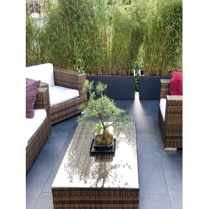 Pflanzwerk Pflanzkübel Tub Premium Frostbeständig 50 cm Anthrazit