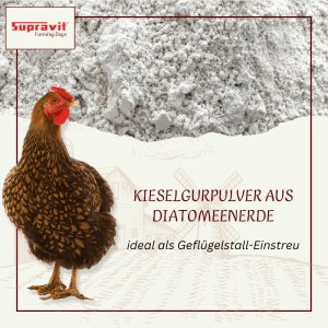 Braunes Huhn mit rotem Kamm vor weißem Supravit Kieselgur-Pulver aus Diatomeenerde, ideal als Geflügelstall-Einstreu.