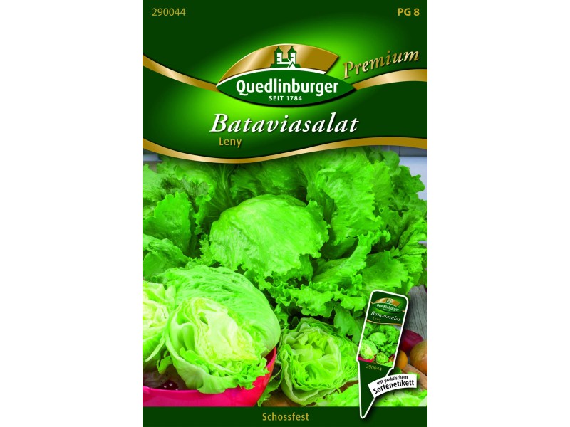 Quedlinburger Batavia Salat &amp;#39;&amp;#39;Leny&amp;#39;&amp;#39; kaufen bei OBI