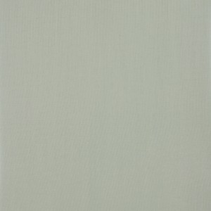 Schöner Wohnen Tageslicht-Rollo Tizia, 45x150 cm, Grün, Detailansicht des Stoffes.