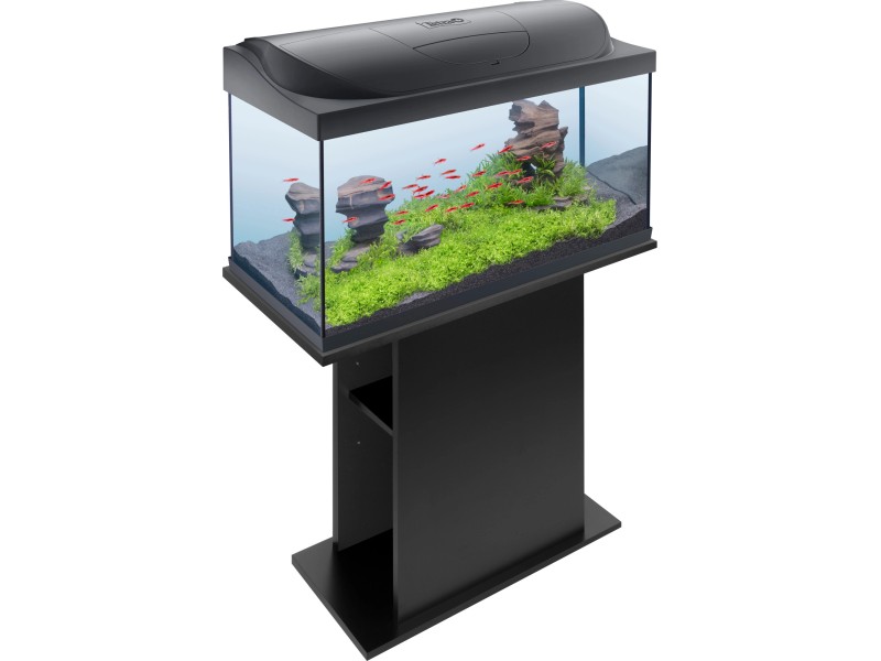 Tetra Starter Line Aquarium LED 105 l kaufen bei OBI