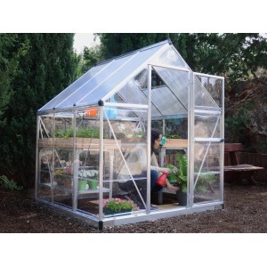 Palram Canopia Hybrid Gewächshaus 1.9x1.9 Silber mit klaren Seitenwänden und Pflanzen.