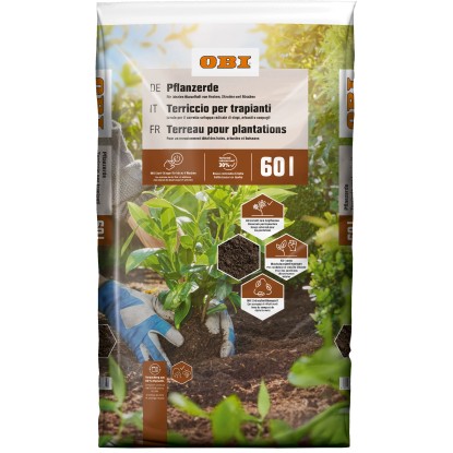 OBI Pflanzerde 1 x 60 l kaufen bei OBI