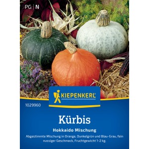 Kiepenkerl Kürbis Hokkaido Mischung mit Kürbissen in Orange, Grün und Grau.