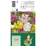 Zierlauch-Mischung: Blumenzwiebeln mit bunten Allium-Blüten in Gelb, Lila, Rosa und Weiß.