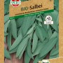 Sperli Bio Salbei Samenpackung mit graugrünen Blättern, ideal für Kübel und Hochbeete.