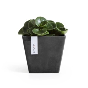 Ecopots Pflanztopf Rotterdam Dunkelgrau 20 cm