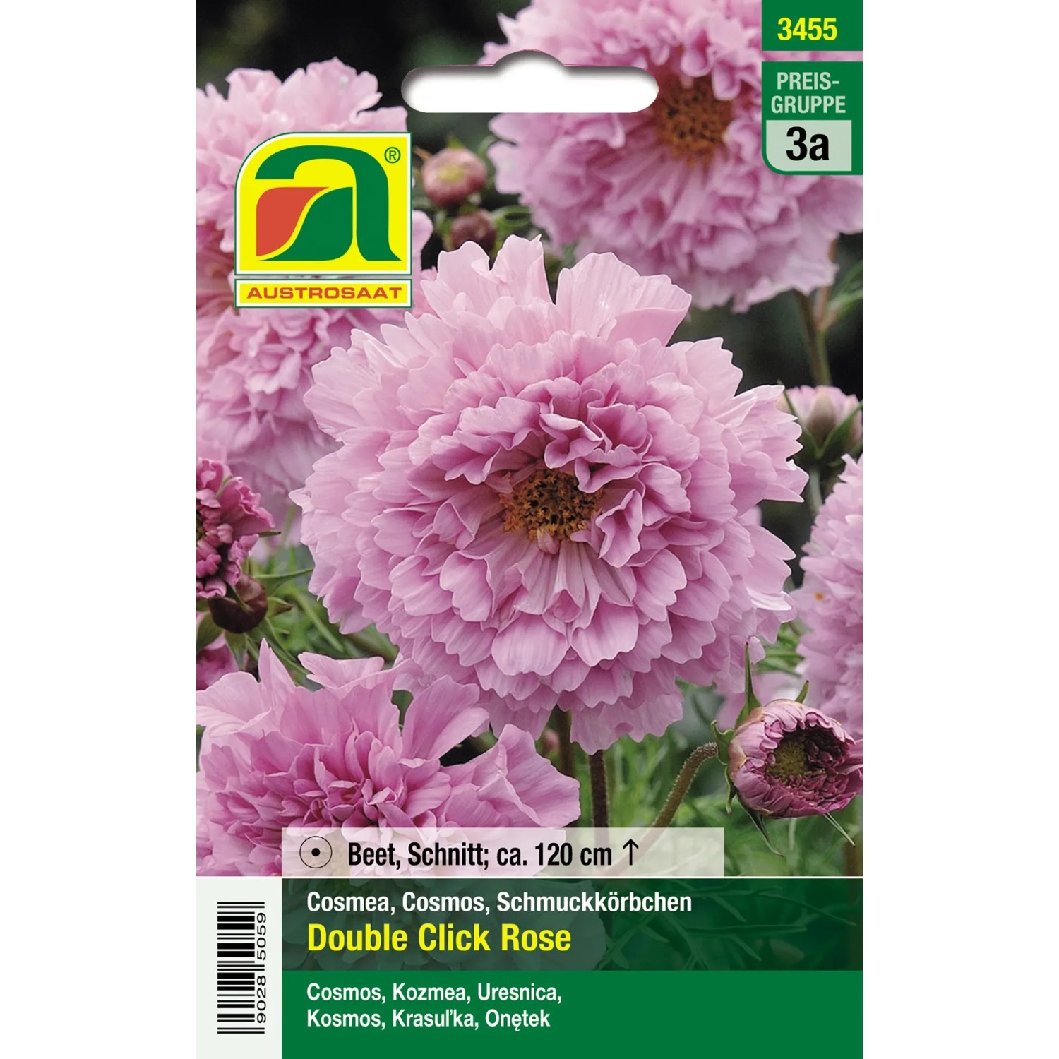 Austrosaat Saatgut Schmuckkrbchen "Double Click Rose" Rosa Cosmos  bipinnatus kaufen bei OBI