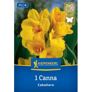 Kiepenkerl Blumenzwiebeln Blumenrohr Caballero