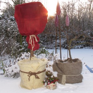 Videx Garden Schafwollmatte in Wollweiß und Rot als Winterschutz für Pflanzen im Garten.
