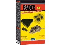 Compo Ratten-Köderbox Cumarax kaufen bei OBI
