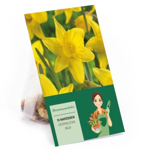 Verpackung mit 15 gelben Osterglocken (Narcissus pseudonarcissus) Blumenzwiebeln.